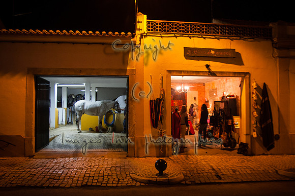 20071107_J7T_0005
