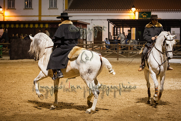 20071108_J7T_0012