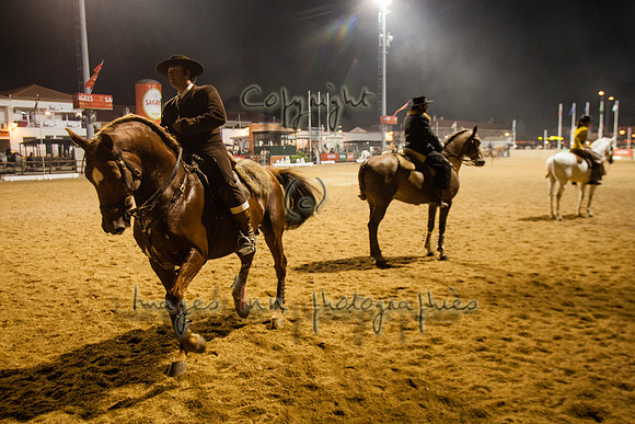 20071108_J7T_0036