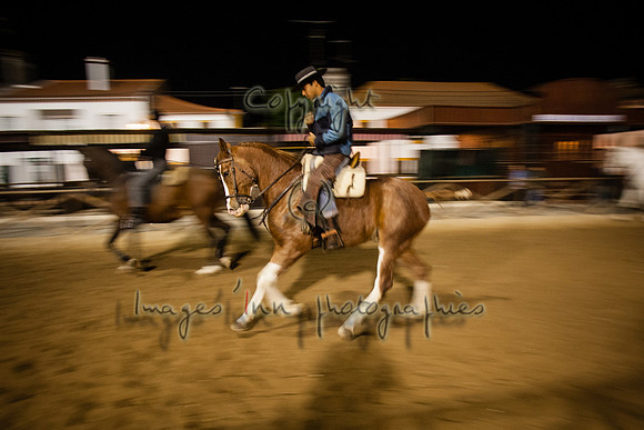 20071108_J7T_0044
