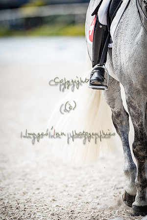 20150813_EKL_00495