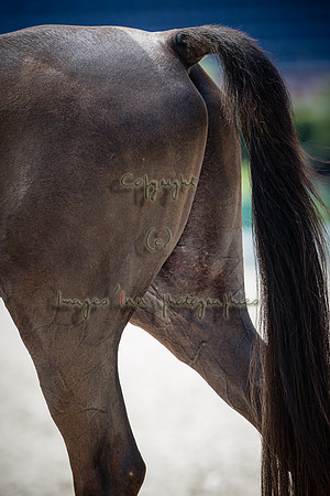 20150813_EKL_00412