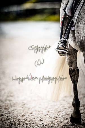 20150813_EKL_00494