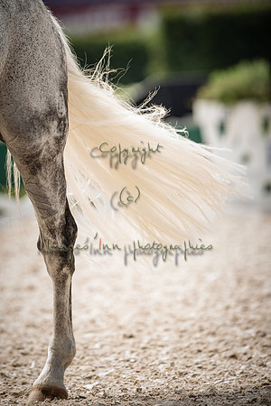 20150813_EKL_00525