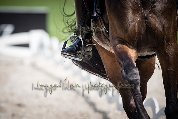 20150813_EKL_00328