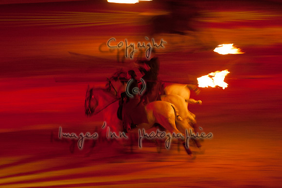 20061021_FOC_0056
