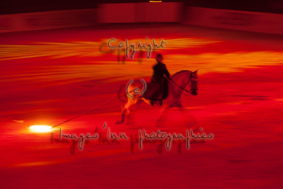 20061021_FOC_0062