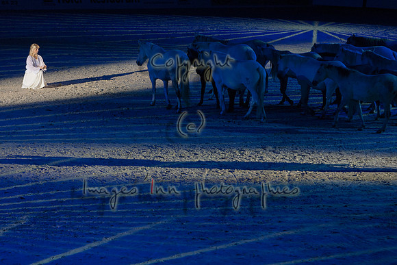 20061021_FOC_0047