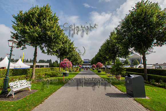 20150811_EKL_0031