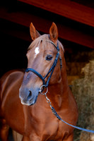 20081025_EKL_0016