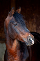 20081003_EKL_0024