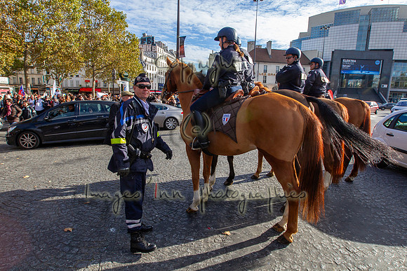20131111_EKL_0016