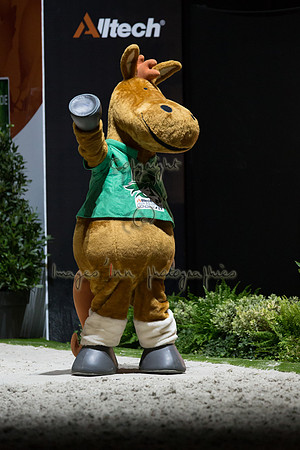 20140905_EKL_01433
