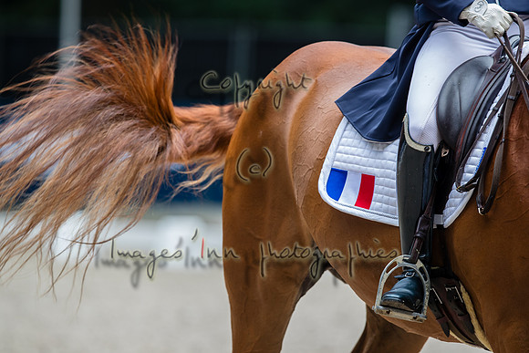 20190819_EKL_0130