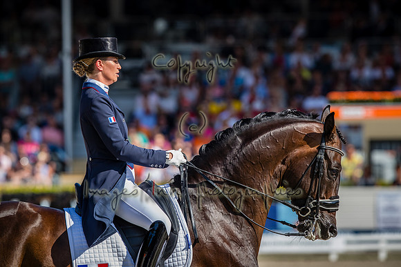 20190822_EKL_0283