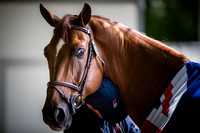 20190819_EKL_0253