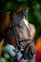 20190819_EKL_0167