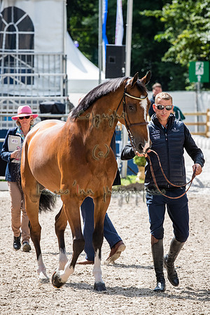 20190819_EKL_0171