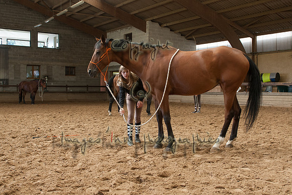 20110810_QOC_0032