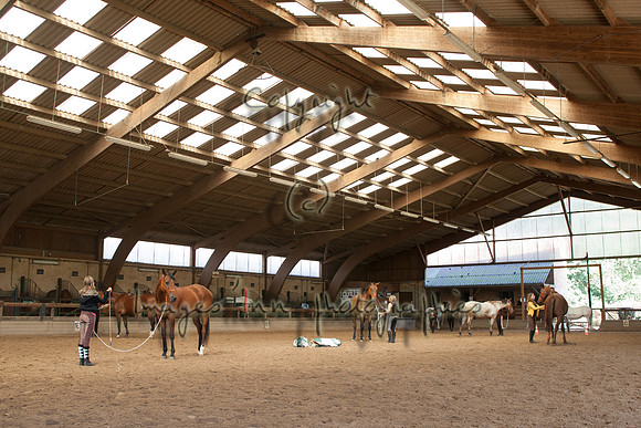 20110810_QOC_0045