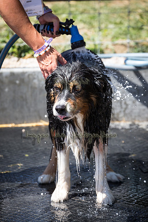 20160813_CLS_0119