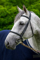 20080607_EKL_0002