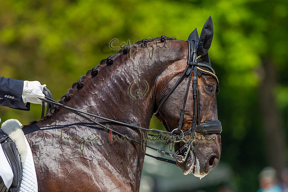 20130601_EKL_0111