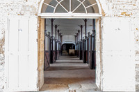 20080715_EKL_0097