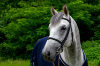 20080607_EKL_0017