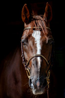20080716_EKL_0059