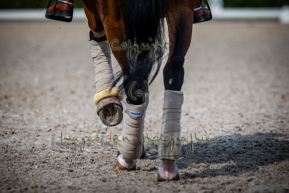 20150811_EKL_0104