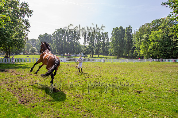 20130608_EKL_0021