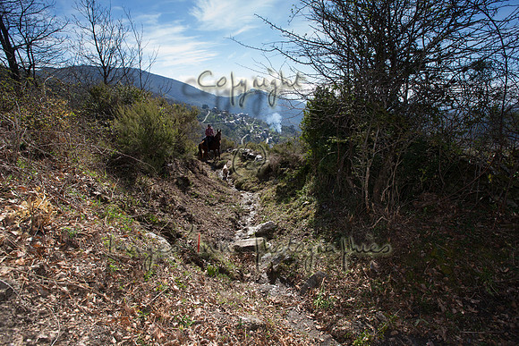 20140409_X4Y_00008