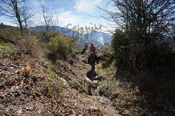 20140409_X4Y_00010