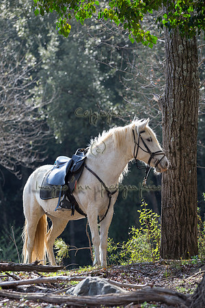 20140407_X4Y_00100