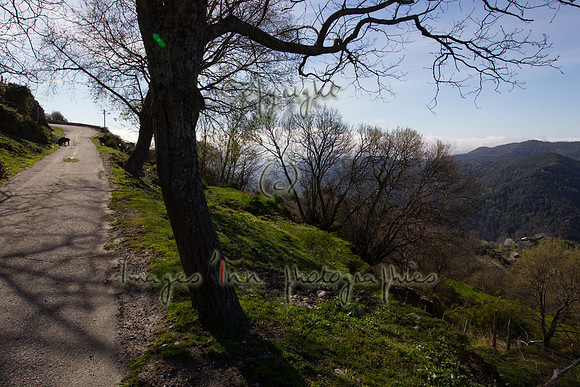 20140409_Y5G_00015