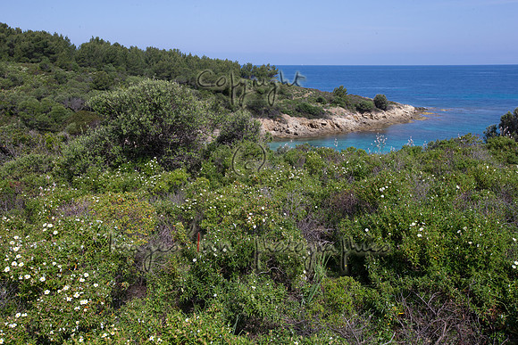 20140411_X4Y_00035