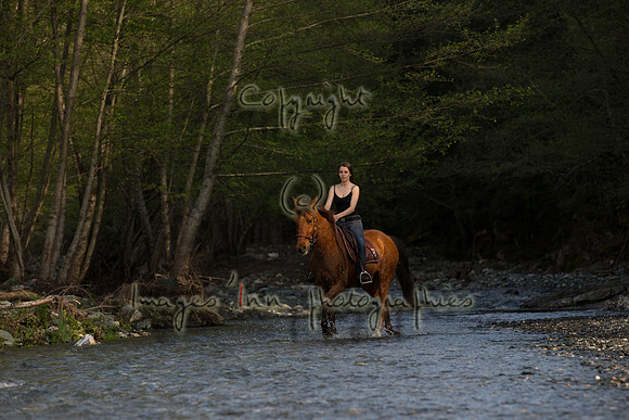 20140407_X4Y_00386