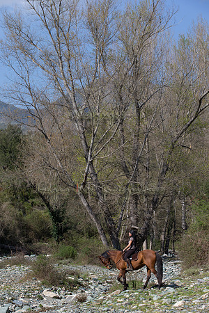 20140407_X4Y_00012