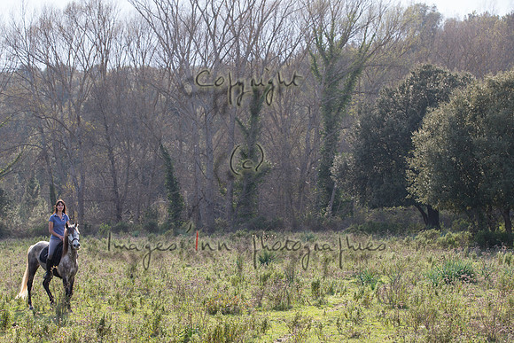 20140407_X4Y_00440