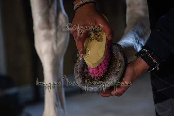 20111022_Y5G_0143