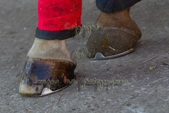 20111023_Y5G_0039