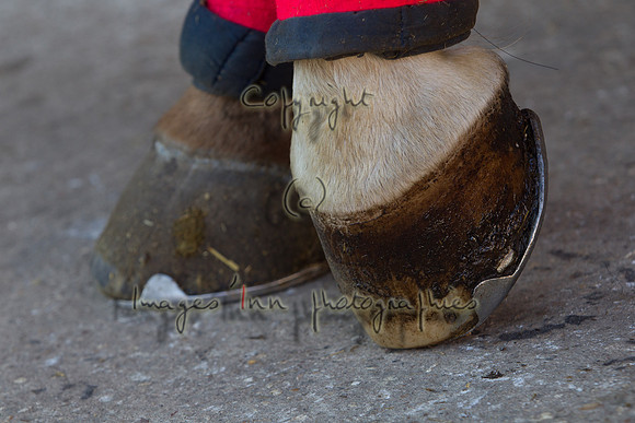 20111023_Y5G_0042