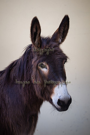 20120330_Y5G_0003