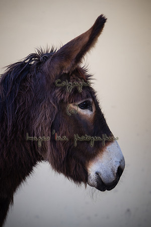 20120330_Y5G_0004
