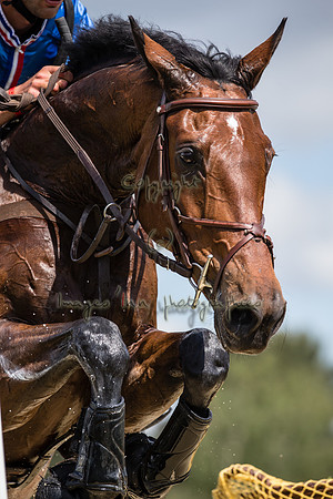 20150523_EKL_00578