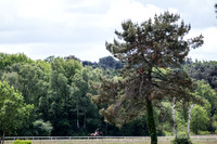 20150523_EKL_00285