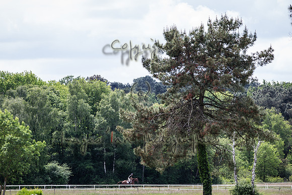 20150523_EKL_00285
