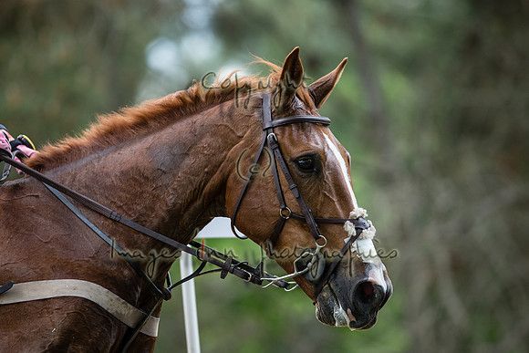 20150523_EKL_00679