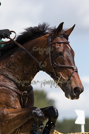 20150523_EKL_00534